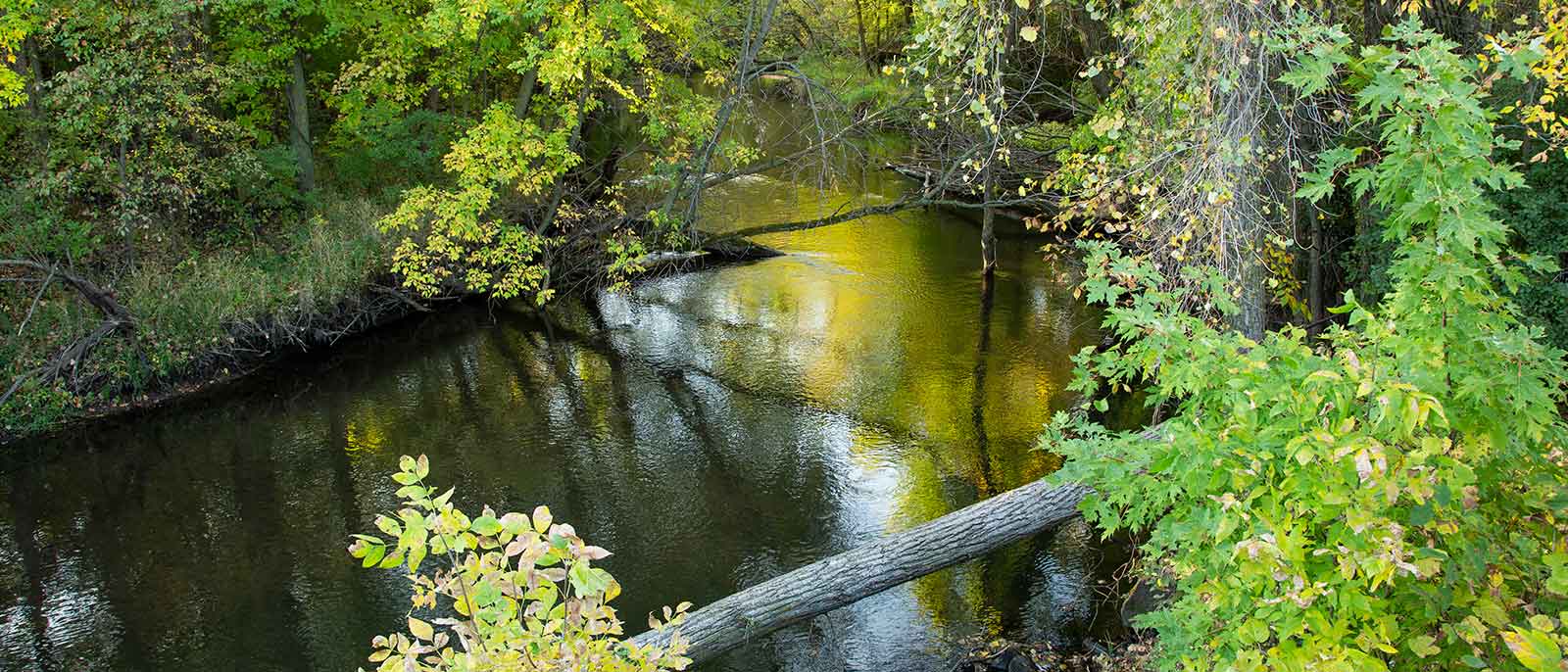 Image of lake setting