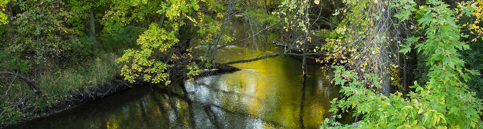Shot of scenic creek